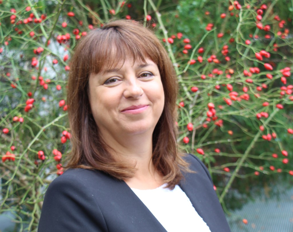 dr hab. Krystyna Marai Rożek-Piechura