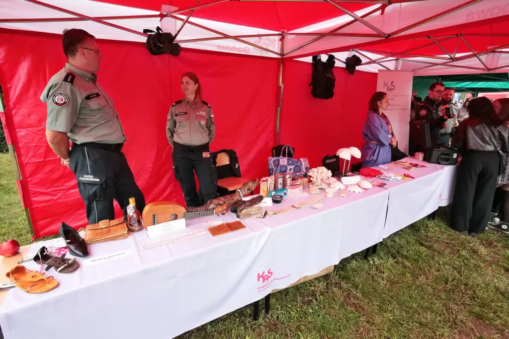 Dolnośląski Festiwal Nauki 2025 – „Nauka jest Chrobra”