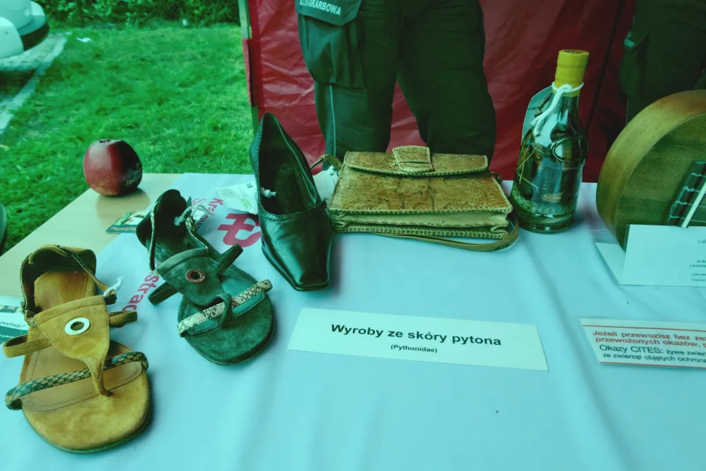 Dolnośląski Festiwal Nauki 2025 – „Nauka jest Chrobra”