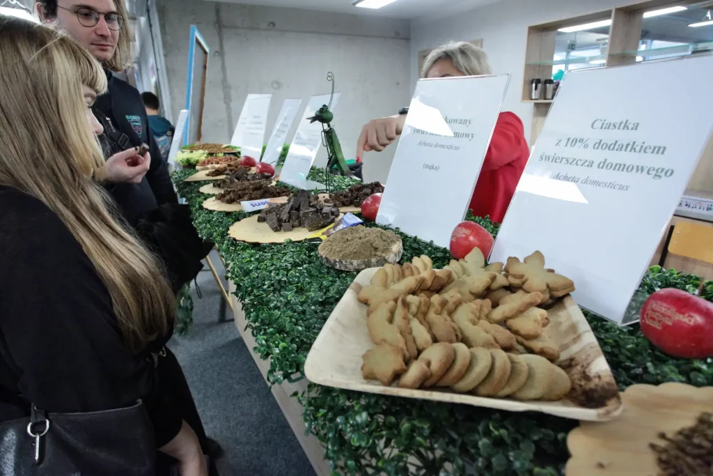 Dolnośląski Festiwal Nauki 2025 – „Nauka jest Chrobra”